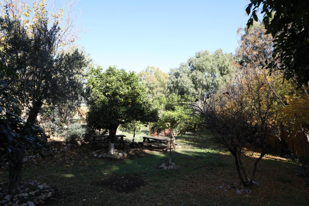 Hotel Shulamit Yard Rosz Pina Zewnętrze zdjęcie